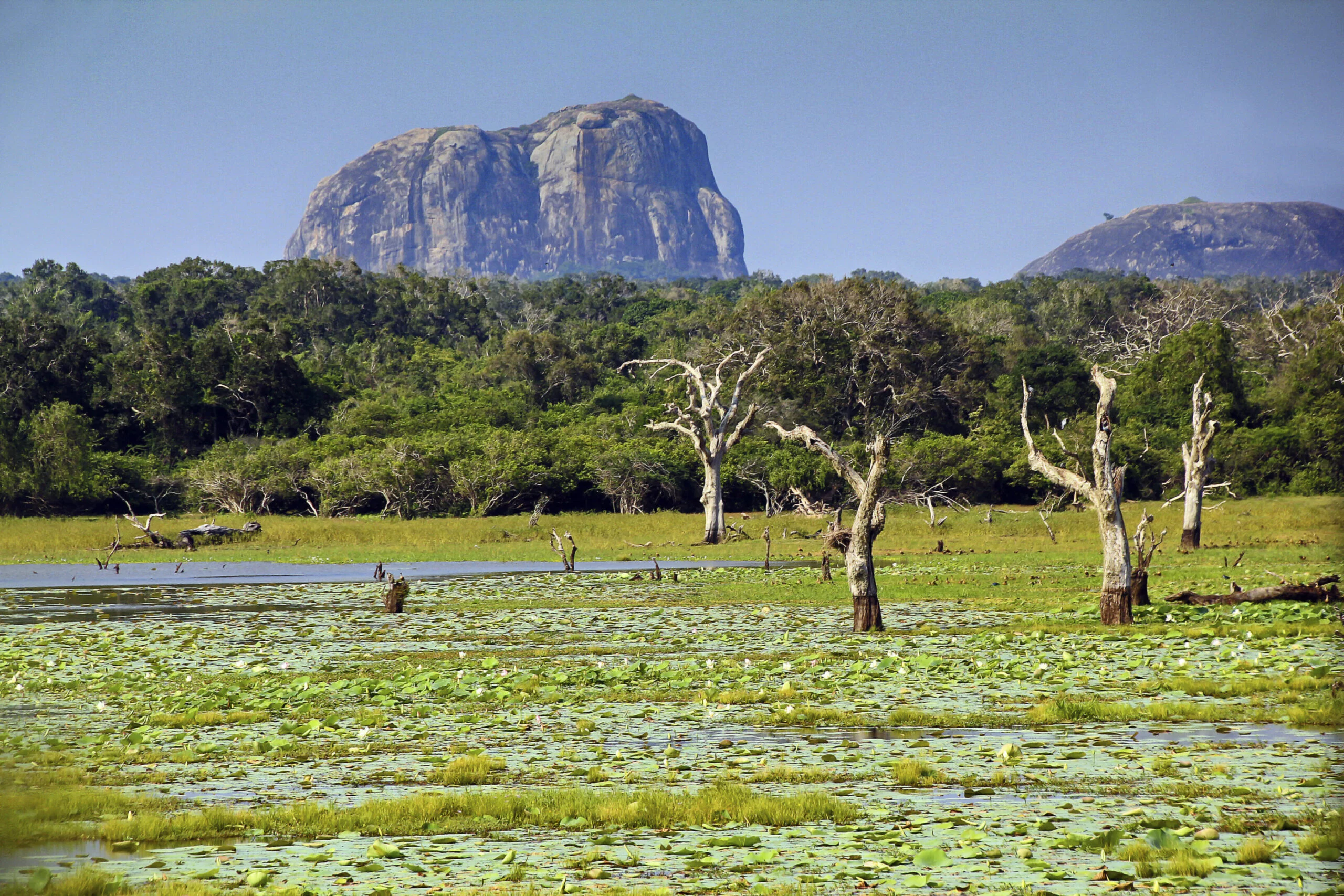 Yala National Park