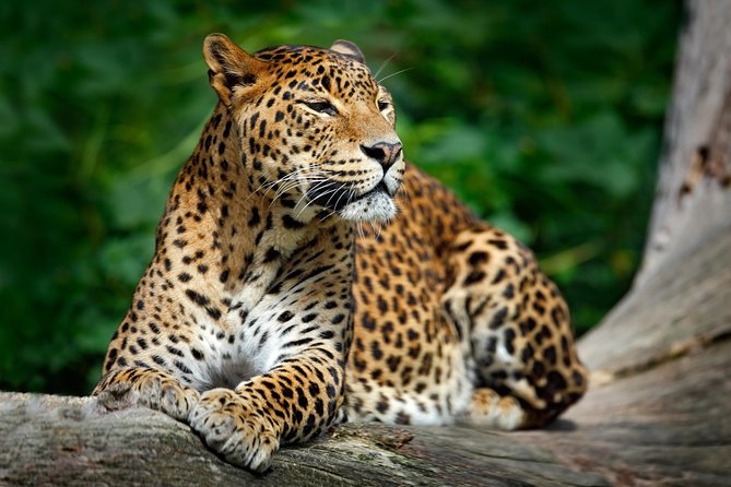Wilpattu National Park